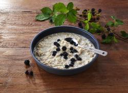 Owsianka białkowa [Protein Porridge] 170g